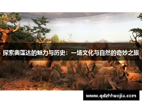 探索奥蓬达的魅力与历史：一场文化与自然的奇妙之旅