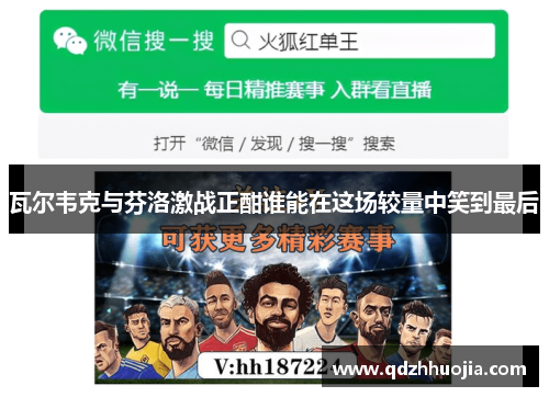 瓦尔韦克与芬洛激战正酣谁能在这场较量中笑到最后